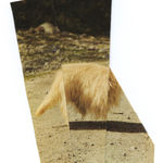 Ruth van Beek, Untitled (Figure 17), 2018