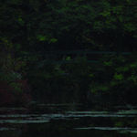 Thomas Kuijpers, Disk 098, Bridge, 2024