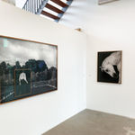 Anja Niemi, The Dancing Cowboy, 2018