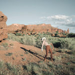 Anja Niemi, The Dancing Cowboy, 2018