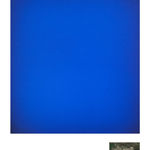 Jan Rosseel, Plants, 2019