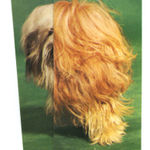 Ruth van Beek, Untitled (Figure 17), 2018