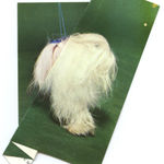 Ruth van Beek, Untitled (Figure 17), 2018