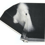 Ruth van Beek, Untitled (Figure 17), 2018