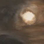 Quentin Derouet, Amandier, 2025