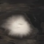 Quentin Derouet, Amandier, 2025