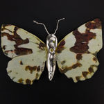 Ruan Hoffmann, What do you love me for, 2021