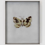 Ruan Hoffmann, What do you love me for, 2021