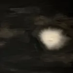 Quentin Derouet, Amandier, 2025