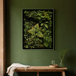 Jasper Goodall, Tutsan photograph, interior