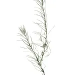 DAGMAR VAN WEEGHEL, You Were Here III, 2025