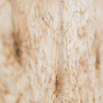 Thomas Wachholz, ZIC ZAC, 2021