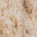 Thomas Wachholz, ZIC ZAC, 2021