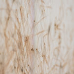 Thomas Wachholz, ZIC ZAC, 2021