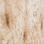 Thomas Wachholz, ZIC ZAC, 2021