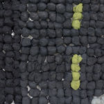 Joe Zucker, Sunset Tipsy, 2018