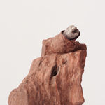 Maggi Hambling, Aftermath (Politician), 2013-2014