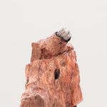 Maggi Hambling, Aftermath (Politician), 2013-2014