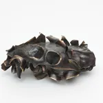 Thumbnail of additional image