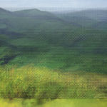 Roger Toledo, Concave & Convex (Diptych), 2019