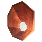 Roger Toledo, Red Color Test, 2021