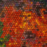 Luis Alberto Álvarez López, Metal Plate No.9, 2022