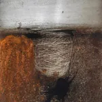 Luis Alberto Álvarez López, Series 3, No. 6, 2018