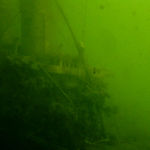 Nick Botting, High Summer, The Young Bathers (West Wittering)