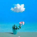 Simeon Stafford, Sail Day, Mousehole