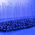 劉柏村, 叢林山水-1, 202