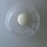 Vezzini & Chen, Magnolia, 2022