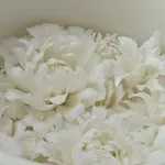 Peter Ting, Flower Cylinder 'Hua' No.18a, 2019