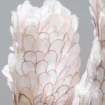 Helen O’Shea, Bi-Valve, 2019