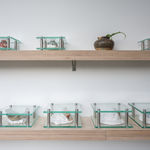 何兆基 HO Siu Kee, 嵯峨噫 Lament of the Lofty Crag, 2025