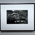 Martin Parr, Crimsworth Dean. Some of the congregation making their way to the Crimsworth Dean Chapel Anniversary, West Yorkshire, England,...