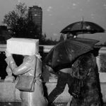 Martin Parr, County Sligo, Easky Fleadh, 1983