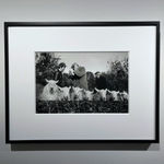 Martin Parr, County Sligo, Easky Fleadh, 1983