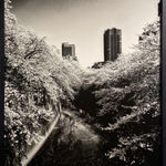 Daido Moriyama, How to Make Beautiful Photos, 1987