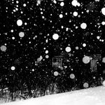 Daido Moriyama, How to Make Beautiful Photos, 1987