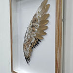 Cassandra Yap, To The Sun and Back, Artist, Art, Gold, Feathers, Gold leaf, Pin Up Girls, Turner Art Perspective, Essex Chelmsford Art Gallery