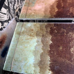 Vintage storybox with photograph of tree