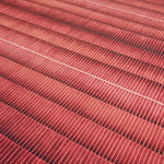 Anna Bogatin Ott, Promise, 2014