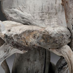 Driftwood Chair , XX Century