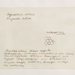 Laura Garbštienė, Aklos žinutės / Blind messages, 2005