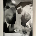 Robertas Narkus, {wEQF8_7, 2024