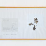 Laura Garbštienė, Aklos žinutės / Blind messages, 2005