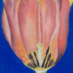 Michael Hilsman, Flower On Fire, 2023