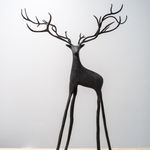 Leopoldo Goût, Pigeon Dreams of Stag, 2020 - 2024