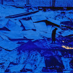 Scattered wood in blue light