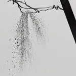 Detail of Graphite on paper drawing of a slanted form with two central harsh and detailed figures.